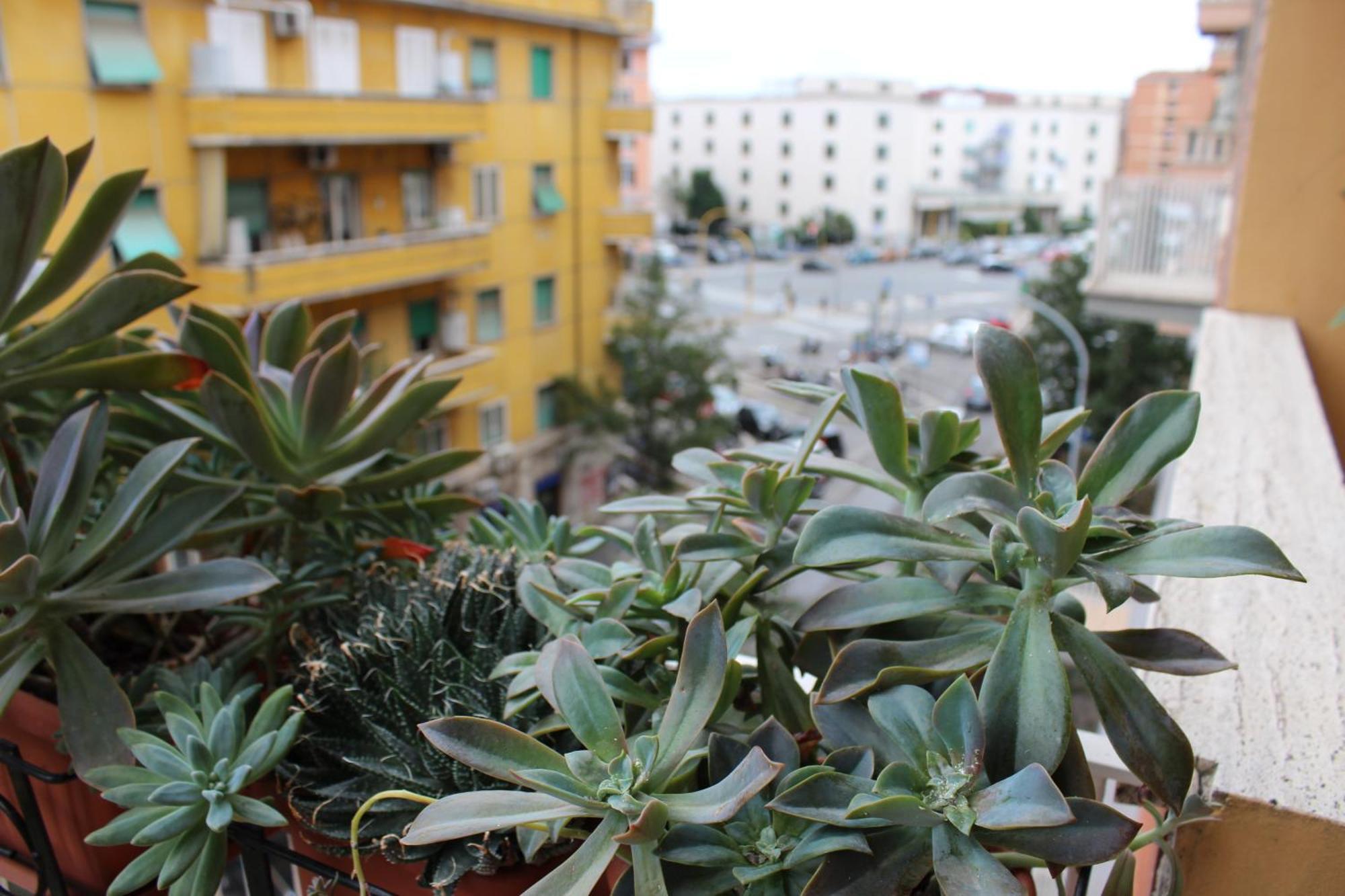 B&B Arianna Roma Exterior foto