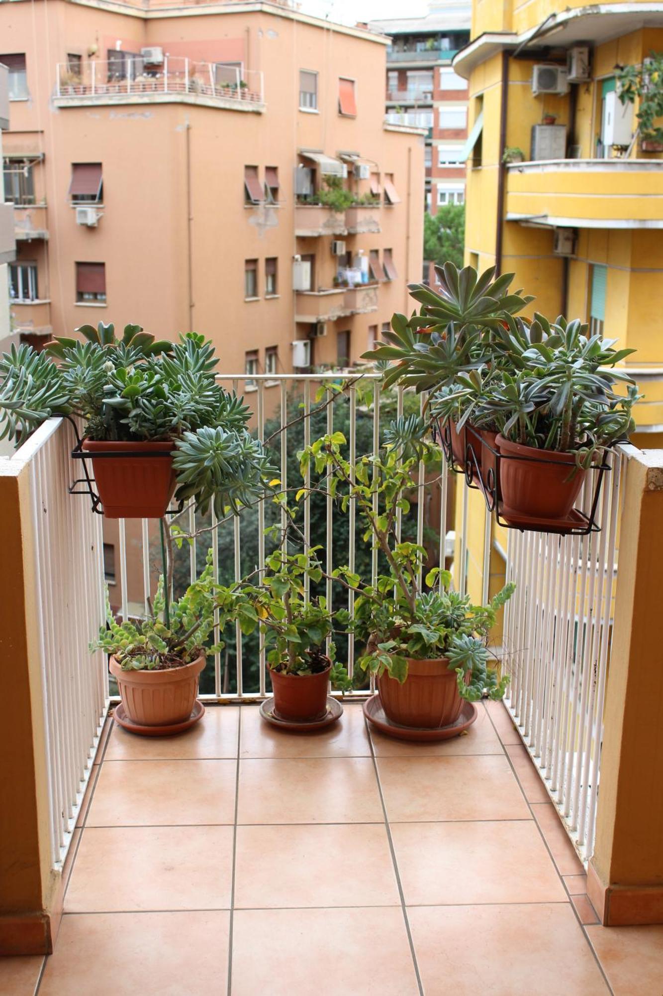 B&B Arianna Roma Exterior foto